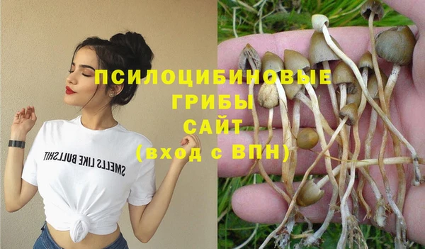 ешки Козельск
