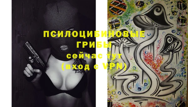 дживик Кодинск