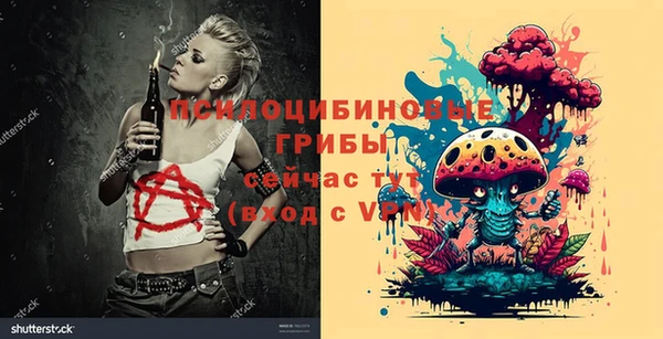 МДМА Козловка