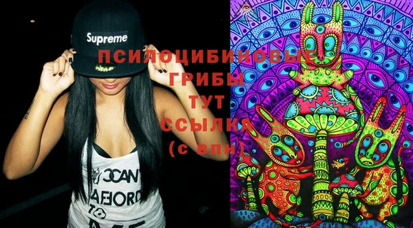 2c-b Кинешма